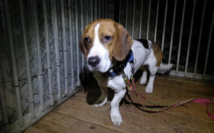 Zbiórka Nie mogliśmy go zostawić... - zdjęcie główne