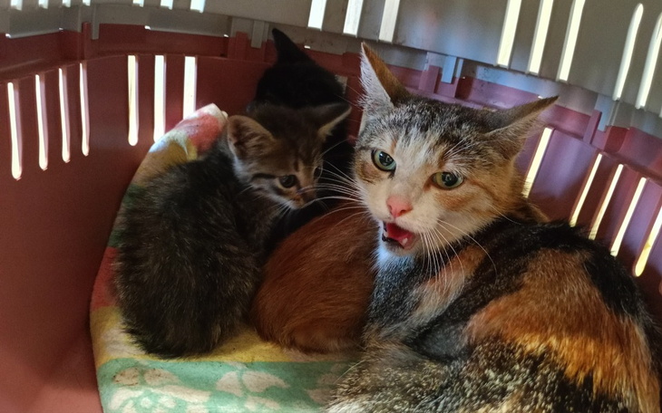 Zbiórka Ocalić przed bezdomnością - zdjęcie główne