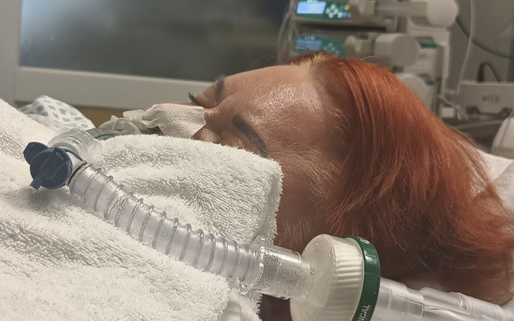 Zbiórka Protezy dla Ani - zdjęcie główne