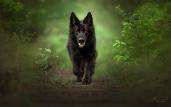 Zbiórka Zbiórka na zakup i budowę domu - zdjęcie główne