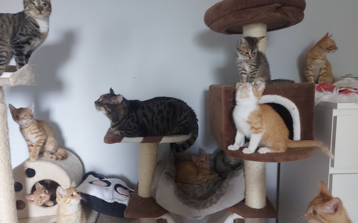 Zbiórka Z marzenia po żwirek - zdjęcie główne