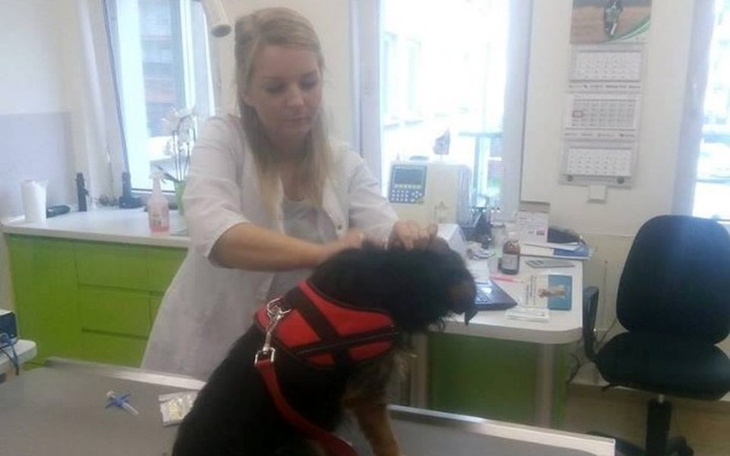 Zbiórka Dług w lecznicy weterynaryjnej! - zdjęcie główne