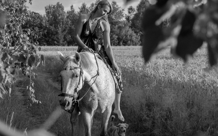 Zbiórka Na leczenie Pralinki - zdjęcie główne