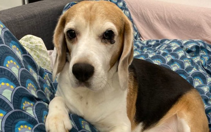 Zbiórka JOCKER cierpi z bólu - zdjęcie główne