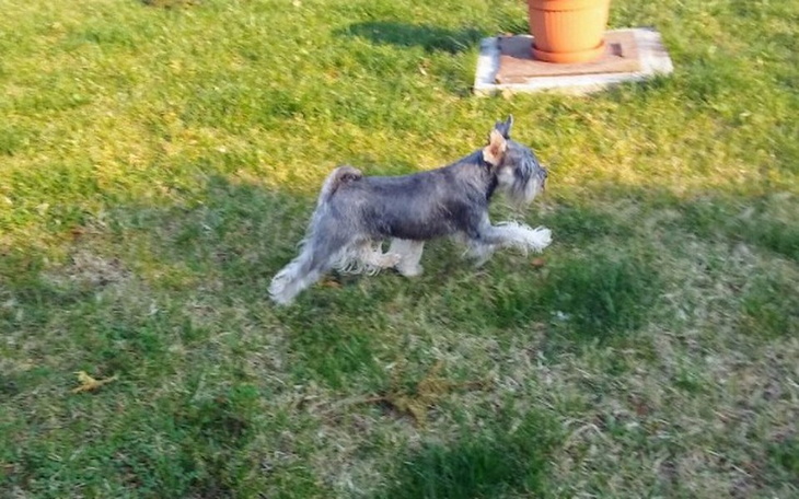 Zbiórka Przeszczp - zdjęcie główne