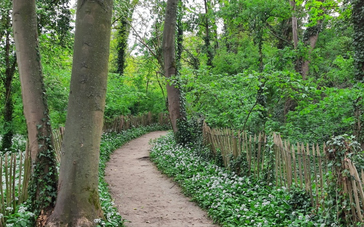 Zbiórka Zbiórka na długi po rodzicach - zdjęcie główne