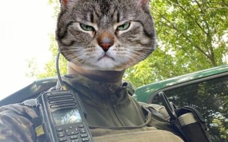 Zbiórka Mega-Dron dla wojska na Ukrainie - zdjęcie główne