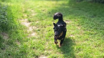 Zbiórka Zapomniana przez świat... - miniaturka zdjęcia