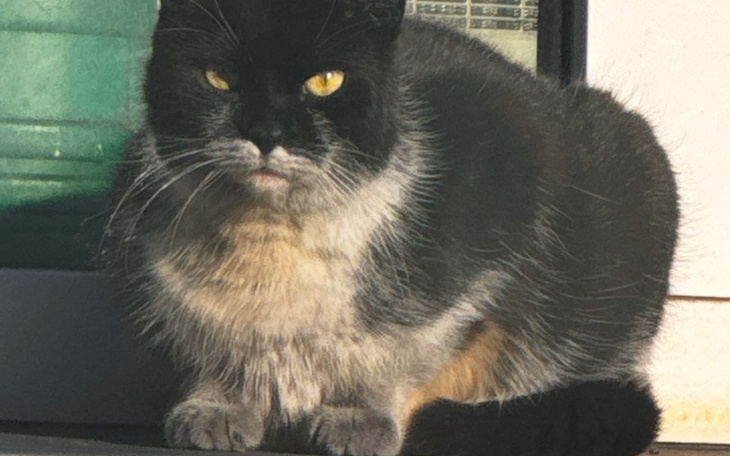 Zbiórka Budki dla bezdomniakow - zdjęcie główne