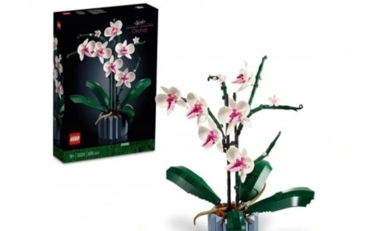 Zbiórka Prezent dla Mamy - kwiaty - zdjęcie główne