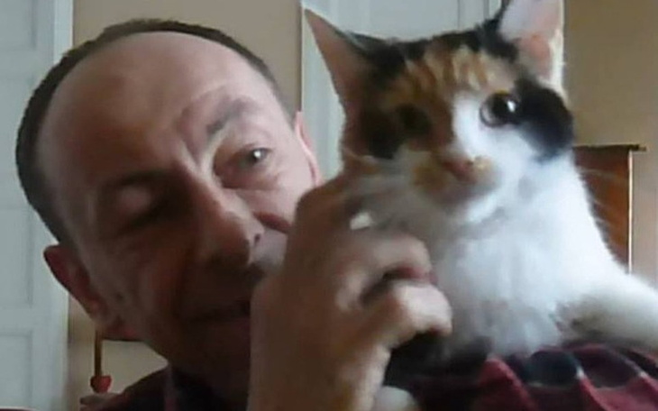 Zbiórka Maciej pomaga bezdomnym kotom - zdjęcie główne