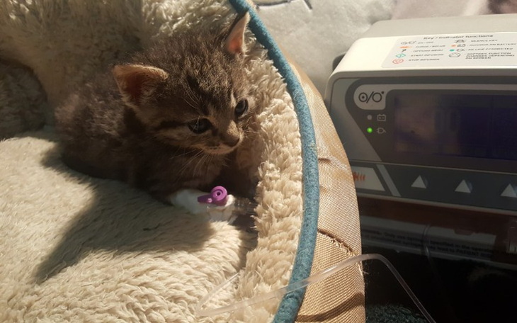 Zbiórka awaria samochodu - zdjęcie główne