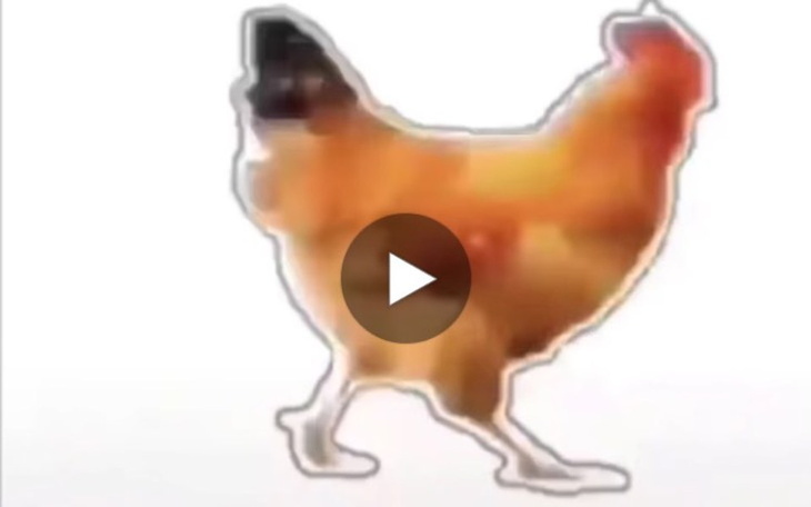 Zbiórka FF A320 For X-Plane 11 - zdjęcie główne