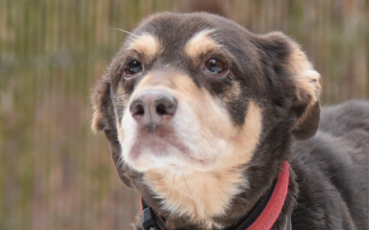 Zbiórka Trzeba było pozwolić jej odejść - zdjęcie główne