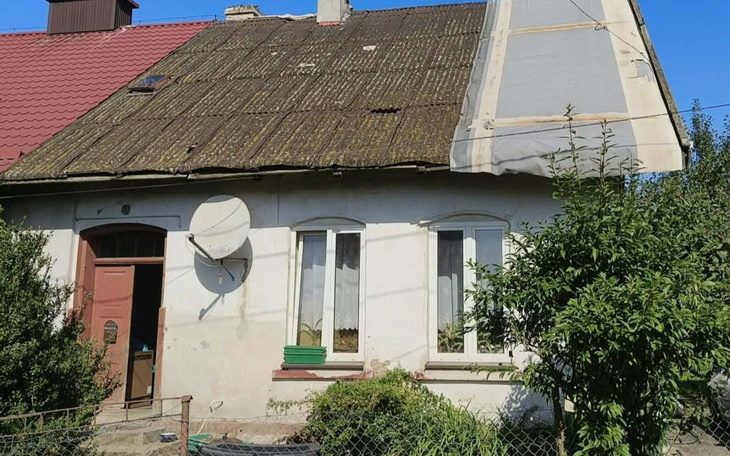 Przytulny mówiący do zdjęcia piesek na białym tle, z rozkosznym spojrzeniem.