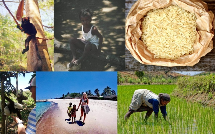 Zbiórka Ryż dla Madagaskaru - zdjęcie główne