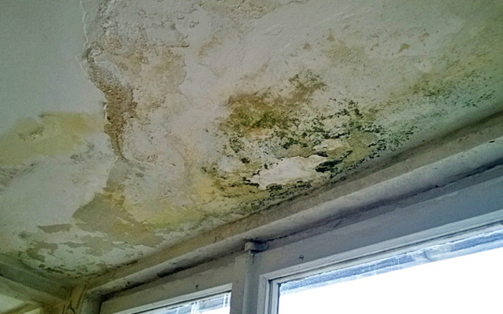 Zbiórka Remont domu /dachu - zdjęcie główne