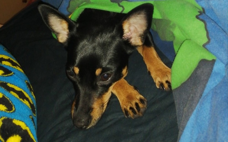 Zbiórka Operacja albo amputacja - zdjęcie główne