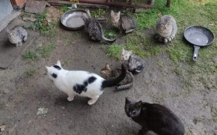 Zbiórka Schronienie na zimę - zdjęcie główne