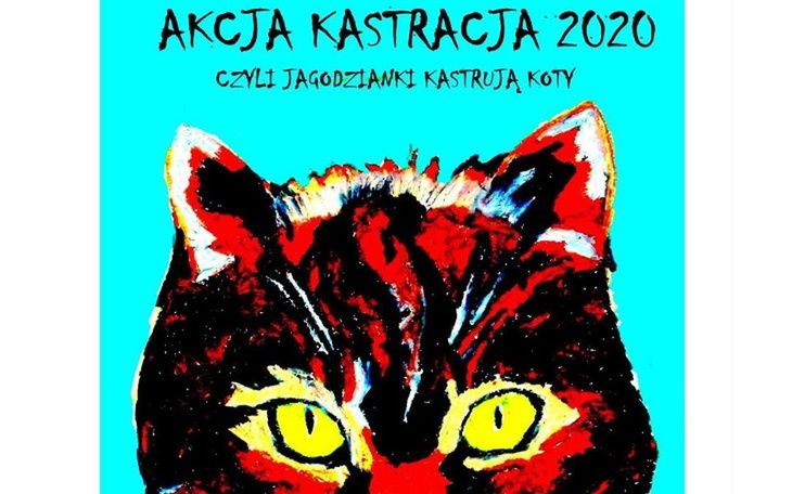 Zbiórka Akcja Kastracja 2020 - zdjęcie główne