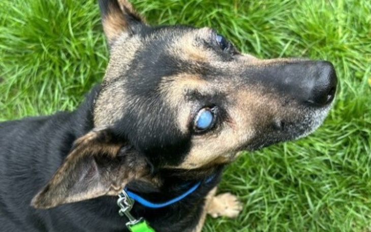 Zbiórka Staruszek z mokradeł chce żyć - zdjęcie główne