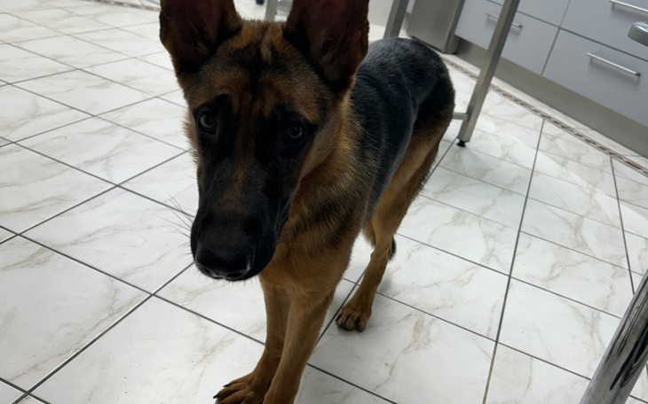 Zbiórka Na prześwietlenie stawów Luny - zdjęcie główne