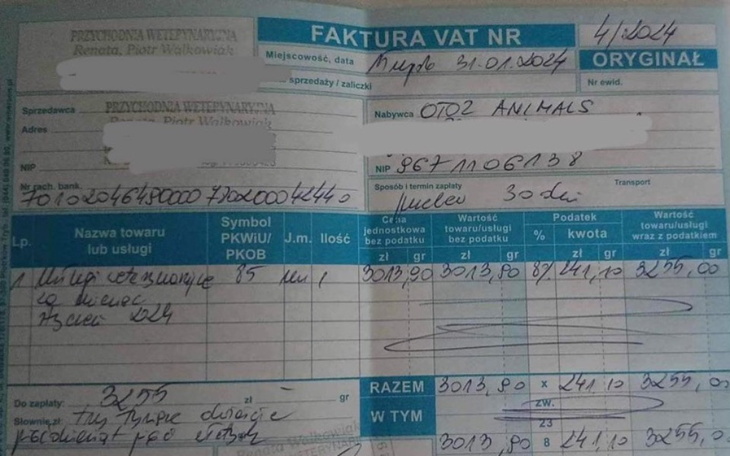 Zbiórka Błagamy o pomoc za styczeń - zdjęcie główne