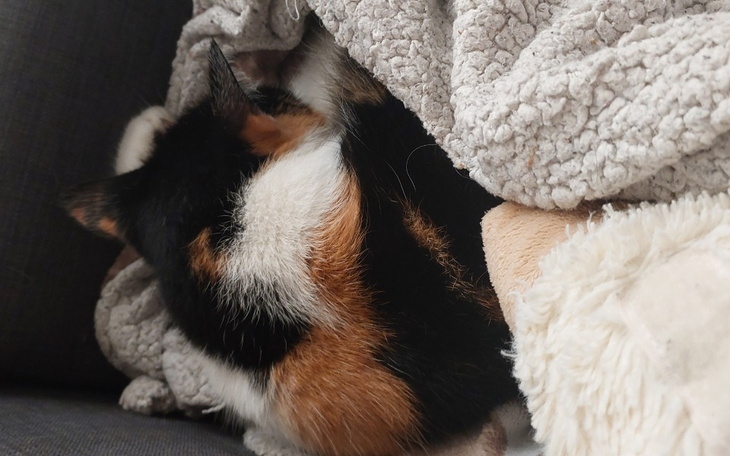 Zbiórka Okulary dla Darka - zdjęcie główne