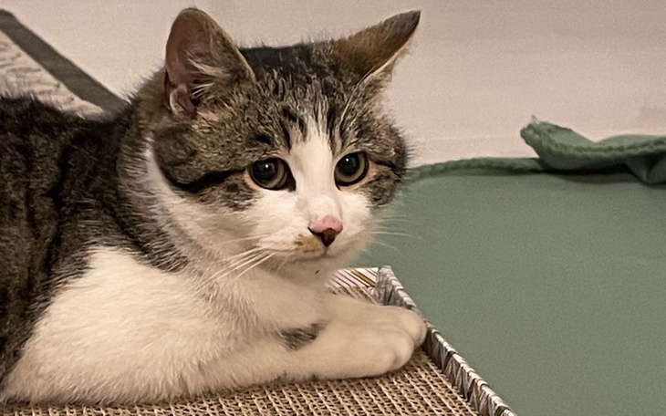 Zbiórka Spłacenie długów POTRZEBNA POMOC - zdjęcie główne