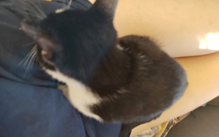 Zbiórka Żeby lepiej zacząć żyć - zdjęcie główne