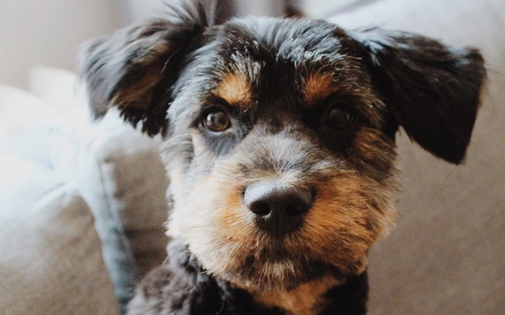 Zbiórka Na opłacenie rachunku Marleya - zdjęcie główne