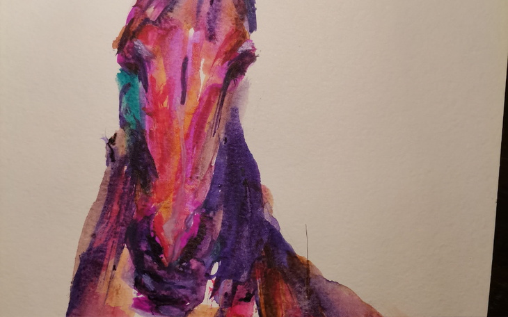 Zbiórka Pilna pomoc dla fundacji. - zdjęcie główne