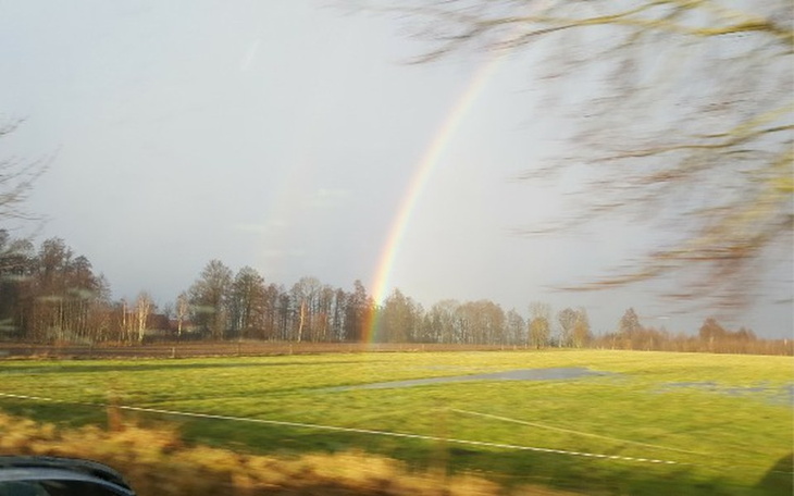 Zbiórka 3 miesiące spokoju - zdjęcie główne