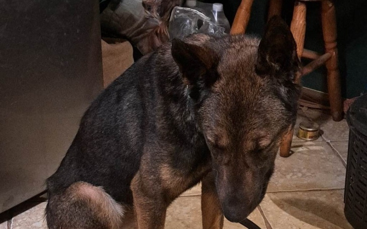 Zbiórka Chudnę, choć jem. Diagnoza - zdjęcie główne