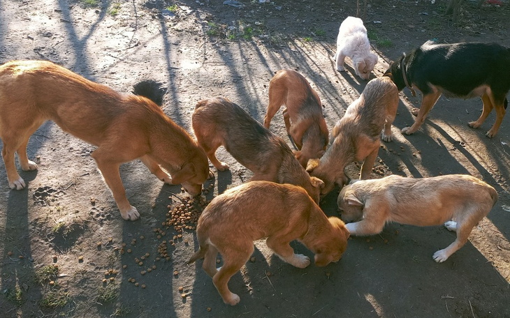 Zbiórka Bo przecież ich nie pozabijam... - zdjęcie główne