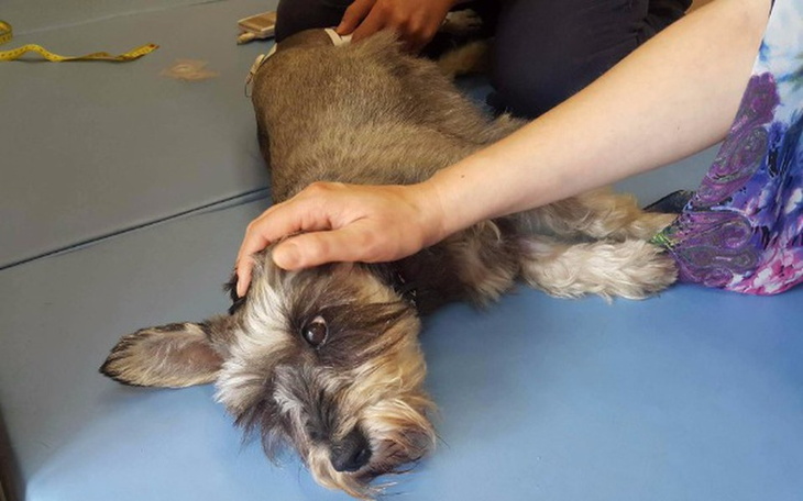 Zbiórka IZI vs REHABILITACJA - zdjęcie główne