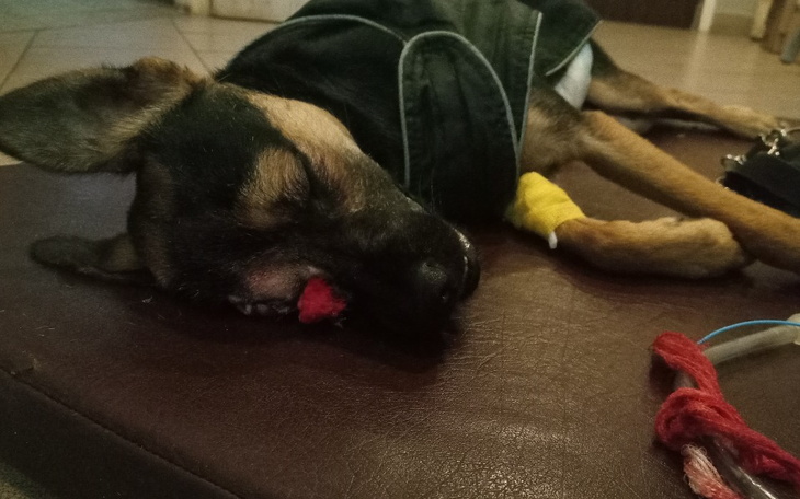 Zbiórka Oczko, Luna, Hera - zdjęcie główne