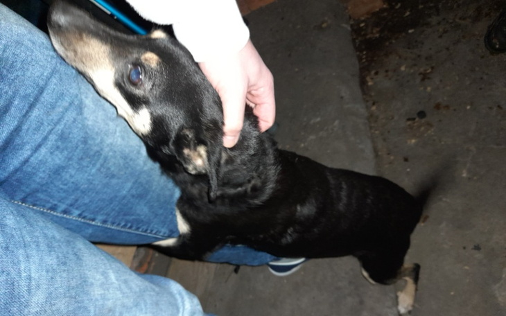 Zbiórka Na nowy start w lepsze jutro - zdjęcie główne