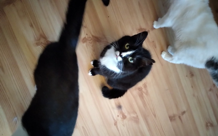 Zbiórka Milce ciężko oddychać - zdjęcie główne