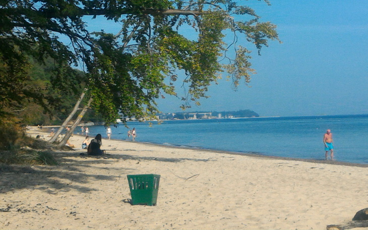 Zbiórka na dzialke - zdjęcie główne