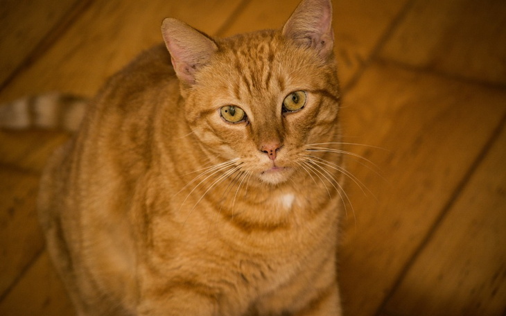 Zbiórka Urodziny Beaty - zdjęcie główne