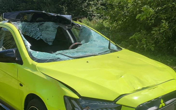 Zbiórka Naprawa auta po łosiu - zdjęcie główne