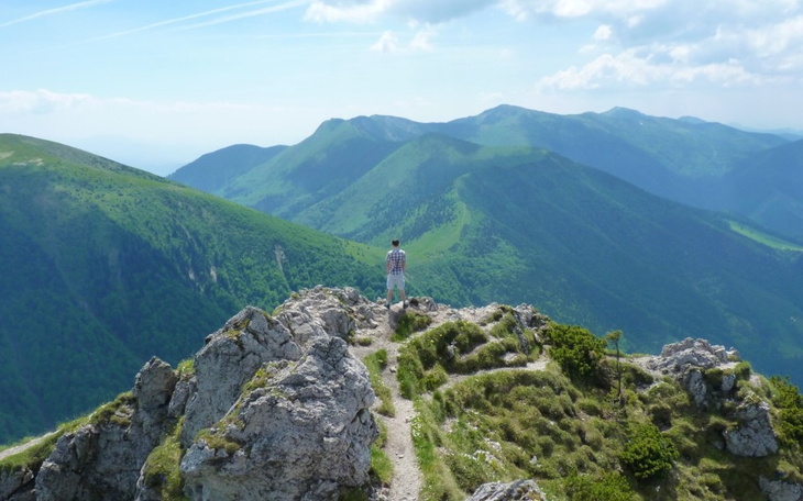 Zbiórka Dreams - zdjęcie główne