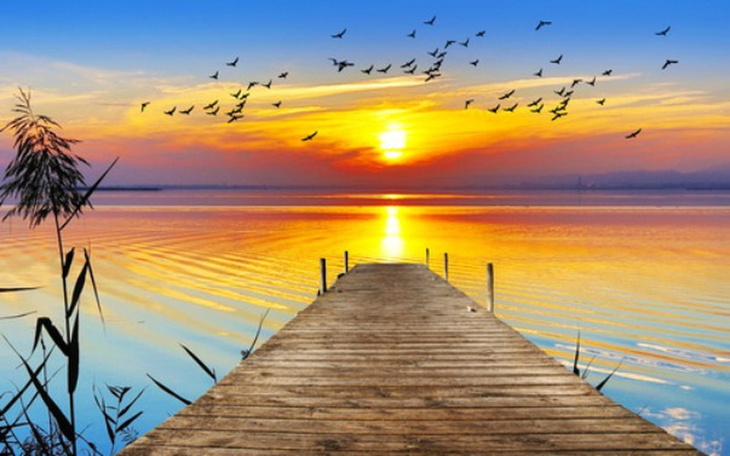 Zbiórka Na prostą . Prosze przeczytaj - zdjęcie główne