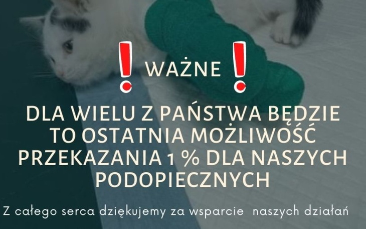 Zbiórka Wsparcie leczenia i opieki - zdjęcie główne