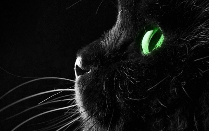 Zbiórka Zbieram na jakiś porządny komp - zdjęcie główne