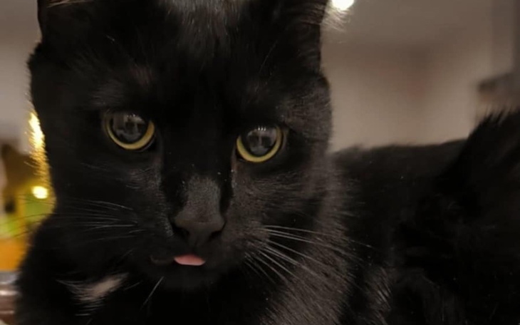 Zbiórka Leczenie Batorka - zdjęcie główne