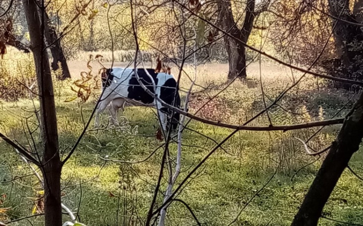 Zbiórka Wpłata do kredytu - zdjęcie główne