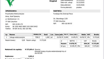 Zbiórka Leczenie bezdomnych kotów - miniaturka zdjęcia