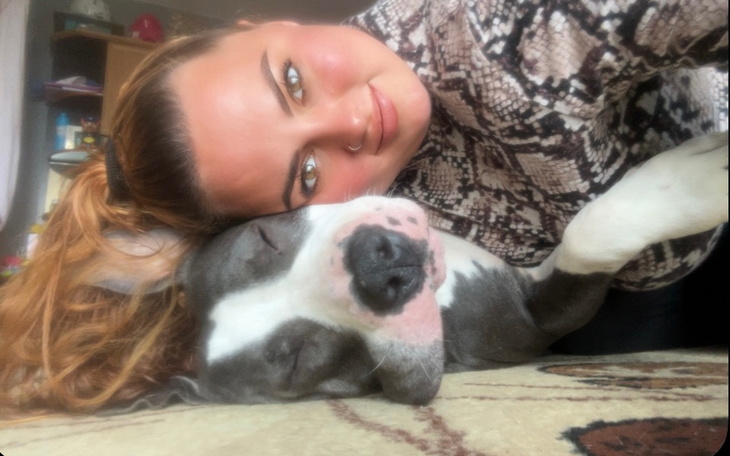 Zbiórka Zbieram na leczenie suni - zdjęcie główne